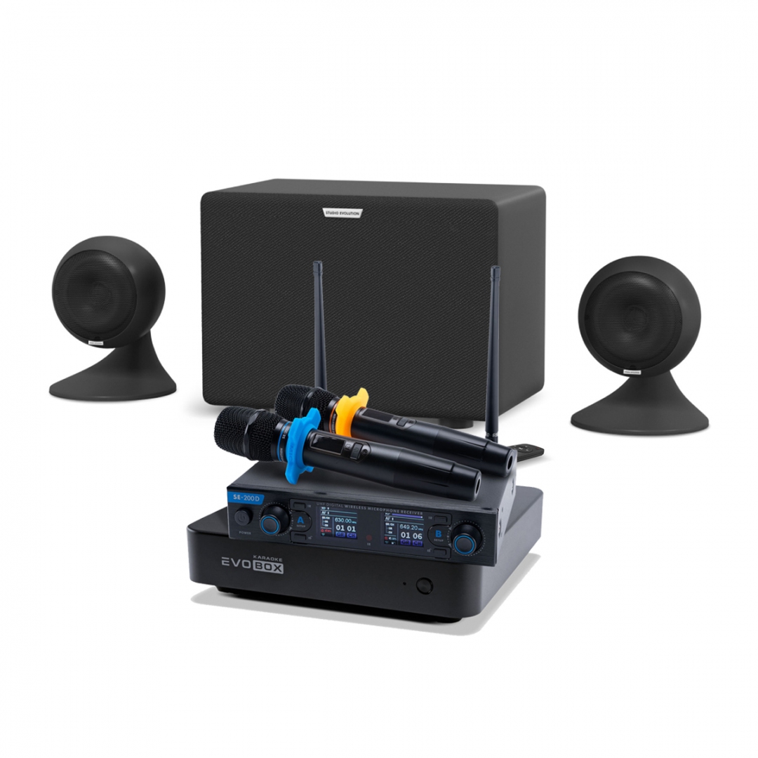караоке-комплект EVOBOX + EvoSound Sphere 2.1 в Камчатской области