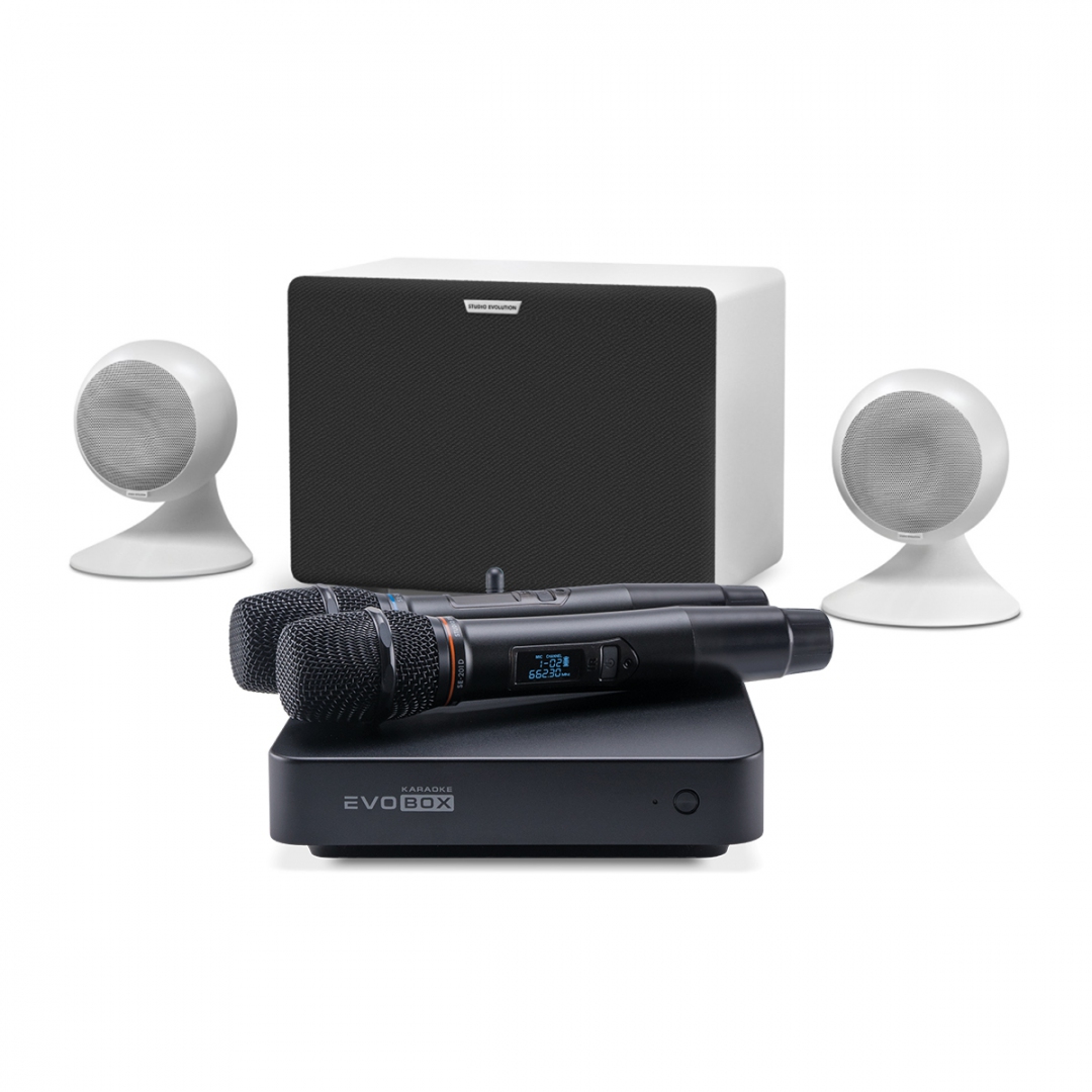 караоке-комплект EVOBOX Classic + EvoSound Sphere 2.1 в Камчатской области