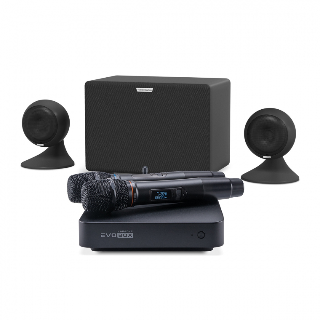 караоке-комплект EVOBOX Plus + EvoSound Sphere 2.1 в Камчатской области