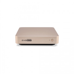 EVOBOX с микрофонами в Камчатской области
