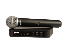 SHURE BLX24E/PG58 M17 вокальная радиосистема в Камчатской области